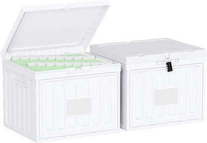 Oterri Plastic File Box with Lid by Oterri