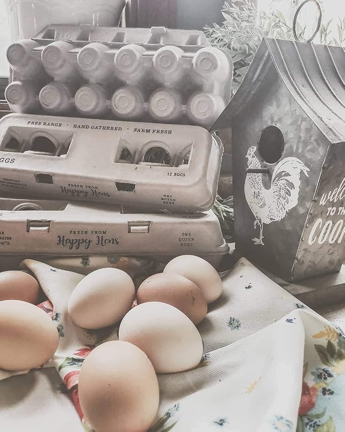 Egg Cartons- Adorable Printed Design - Image 6