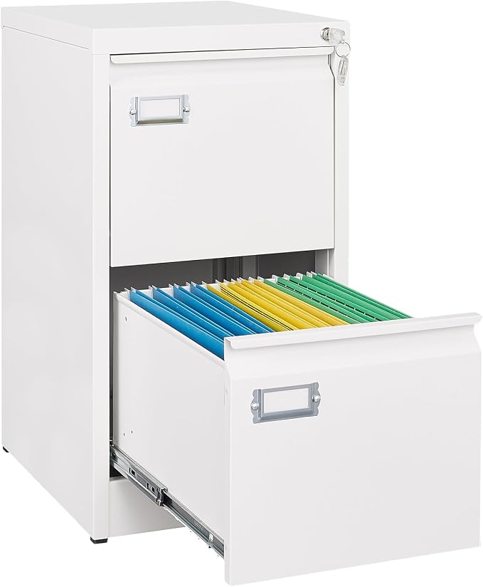 SISESOL 2 Drawer File Cabinet by SISESOL