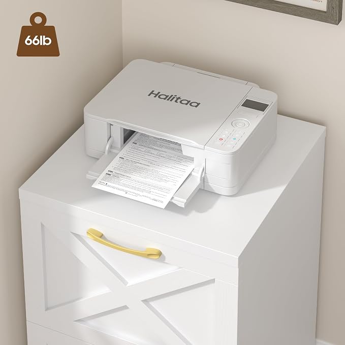 Halitaa Farmhouse 2 Drawer Small File Cabinet - Image 6