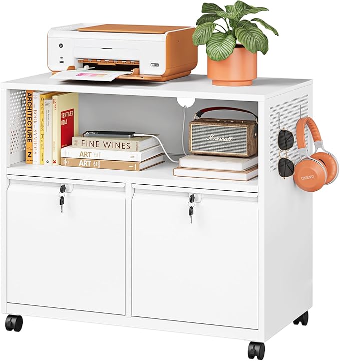 Metal File Cabinet, 2 Drawer Lateral Filing Cabinet by LISSIMO