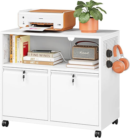 Metal File Cabinet, 2 Drawer Lateral Filing Cabinet by LISSIMO