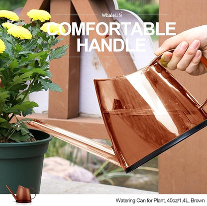 Small Indoor Watering Can for House Plants - Image 4