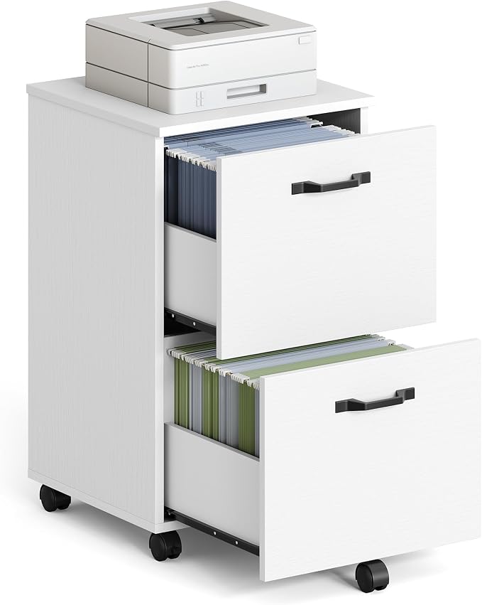 VASAGLE 2-Drawer File Cabinet, Small Rolling Filing Cabinet by VASAGLEbySONGMICSHOME