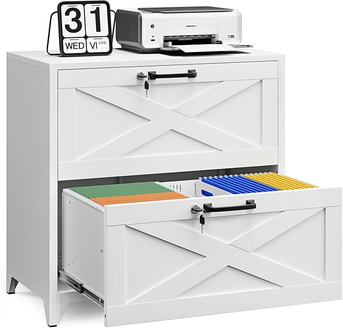 Letaya 2 Drawer File Cabinet by LetayaMetalCabinets