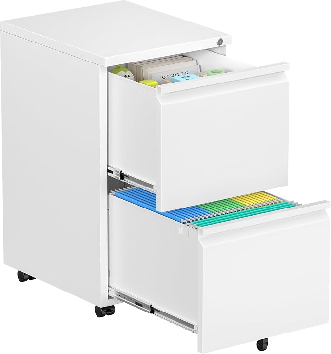 Bonusall 2 Drawer File Cabinet, Metal Rolling File Cabinet by BONUSALL