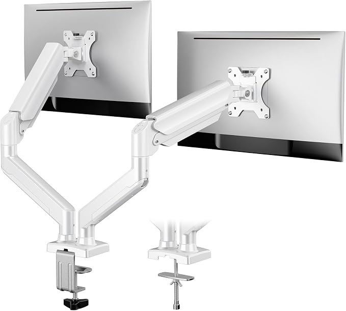 ErGear Dual Monitor Stand up to 32 inches Screen, Load-Bearing Max 22 lbs Each by ErGear