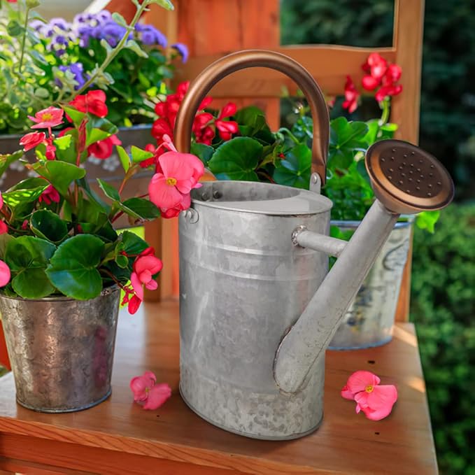 1 Gallon Metal Watering Can - Image 3