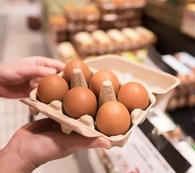 30 Pack Half Dozen Egg Cartons, Blank Natural Pulp Egg Carton Bulk 6 Count - Image 5