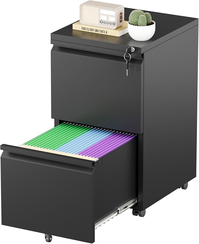 Greenvelly 2 Drawer Mobile File Cabinet by Greenvelly