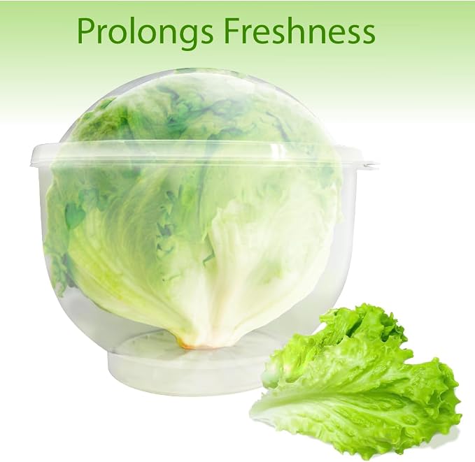 Trenton Gifts Lettuce And Vegatable Storage Keeper | 7" X 8" - Image 2