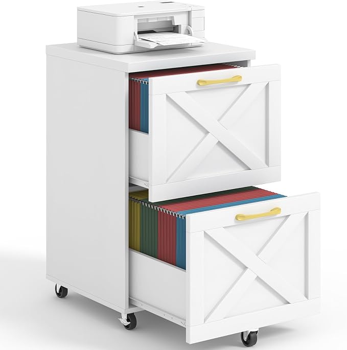 Halitaa Farmhouse 2 Drawer Small File Cabinet by Halitaa