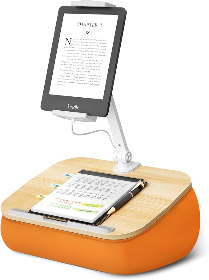 Lap Beanbag Cozy Kindle Pillow Stand by ERGONOV