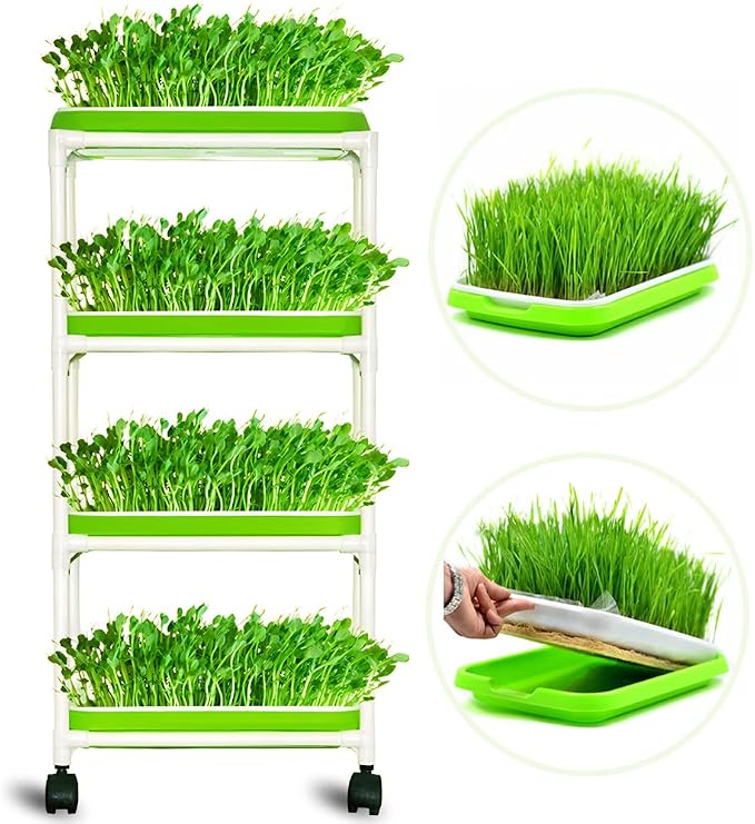 4 Layers Sprout Trays with Extra Strength Plastic Shelf Soil-Free Healthy by LeJoy+Garden