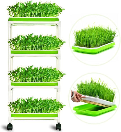 4 Layers Sprout Trays with Extra Strength Plastic Shelf Soil-Free Healthy by LeJoy+Garden