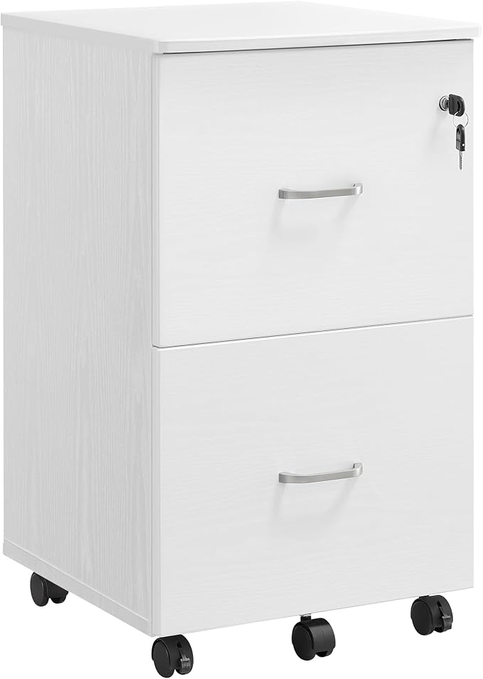 VASAGLE 2-Drawer File Cabinet, Locking Filing Cabinet by VASAGLEbySONGMICSHOME