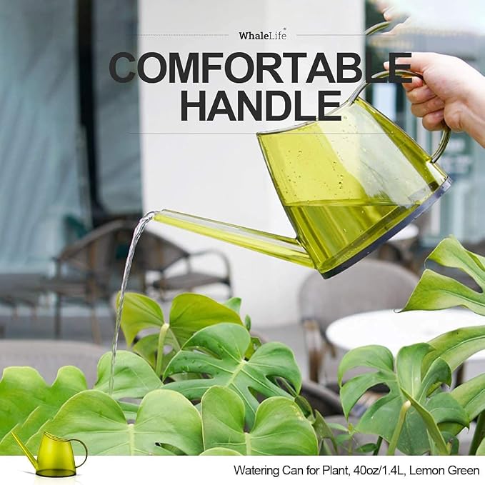 Small Indoor Watering Can for House Plants - Image 6