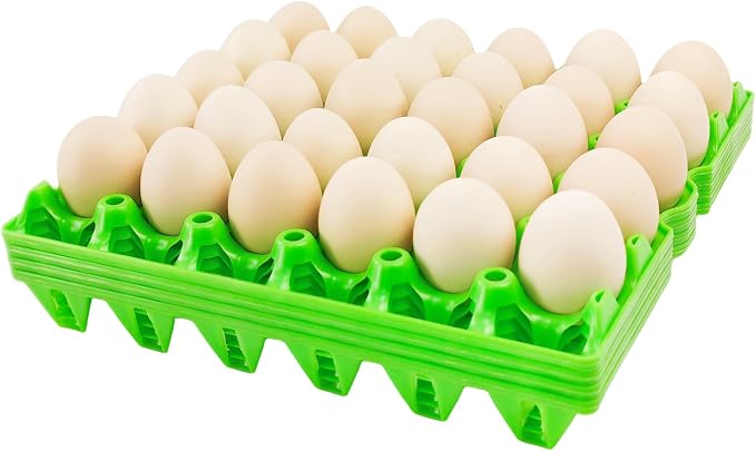 4-Pack Plastic Egg Tray Egg Crates, 30-Egg Flats by George+Garden