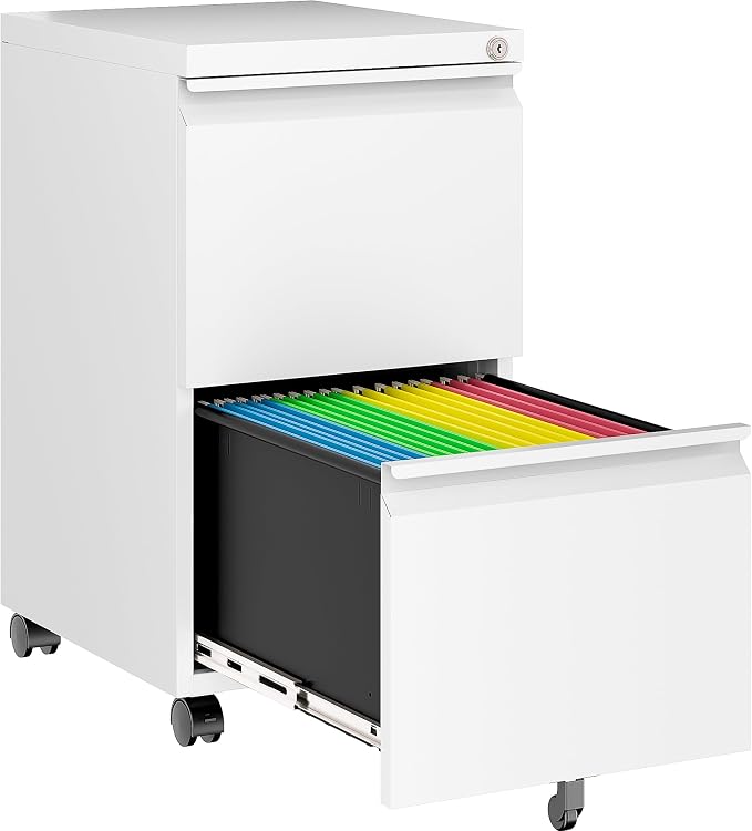 SISESOL Assembled 2 Drawer File Cabinet on Wheels, Metal Filing Cabinet by SISESOL
