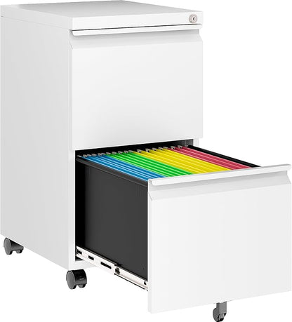 SISESOL Assembled 2 Drawer File Cabinet on Wheels, Metal Filing Cabinet by SISESOL