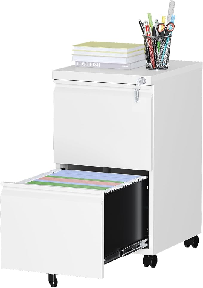 Mobile File Cabinet with Lock, 2 Drawer Under Desk Filing Cabinet with Wheels by LISSIMO