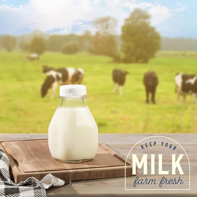 kitchentoolz 16 Oz Glass Milk Jug - Image 6