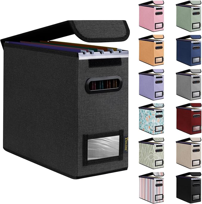 BALEINE File Organizer Box by BALEINE