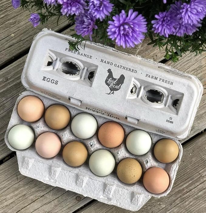 25 Egg Cartons- Adorable Printed Vintage Design - Image 6
