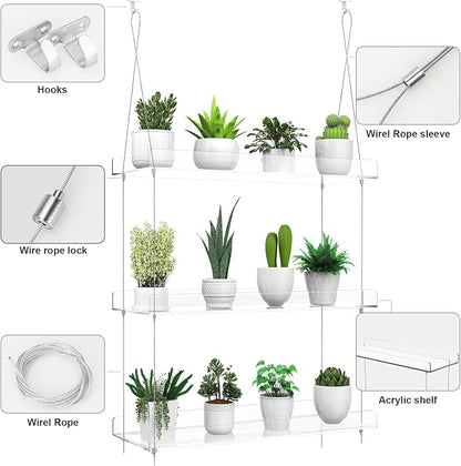 3-Tier Hanging Clear Plant Shelves - Image 5