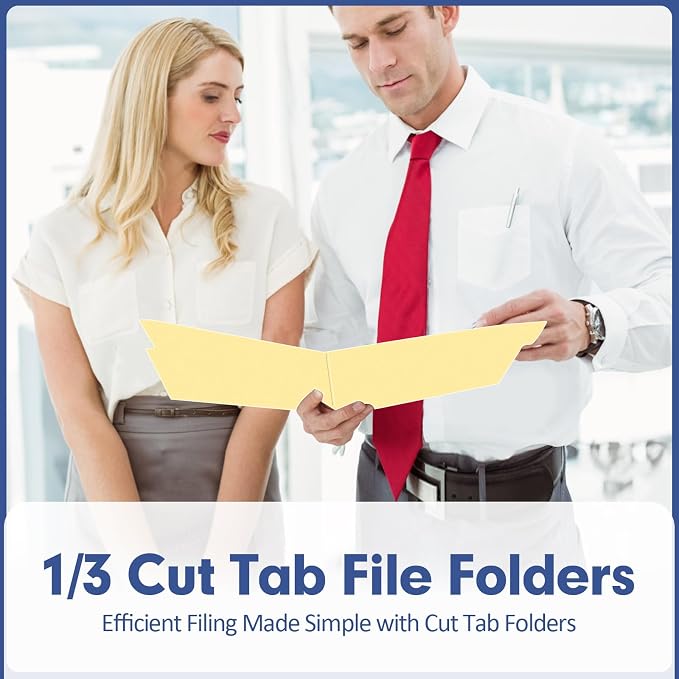 File Folder, PANDRI 220 Pack File Folder, 1/3 Cut Tab, Letter Size, Filing - Image 7