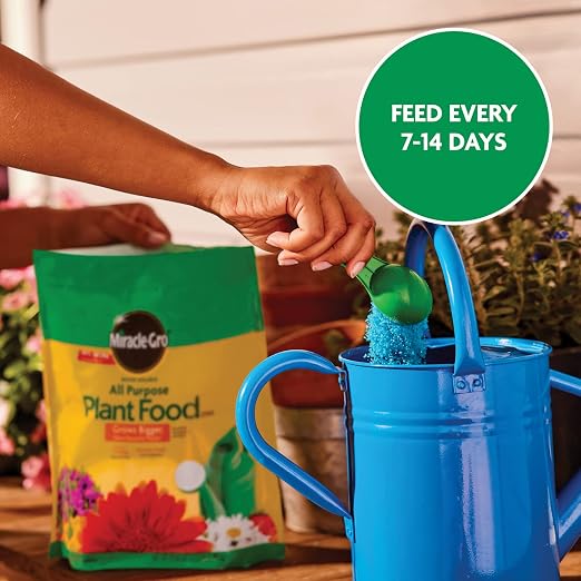 Miracle-Gro Water Soluble All Purpose Plant Food, 5.5 lb. | Fertilizer - Image 10