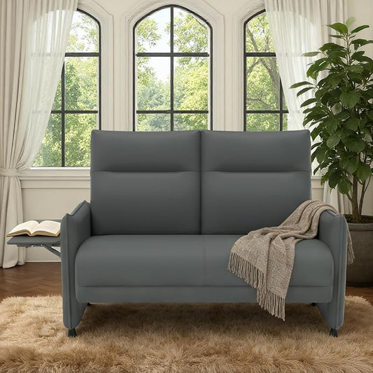 Faux Leather Loveseat, Upholstered Loveseat by Tbillionnext