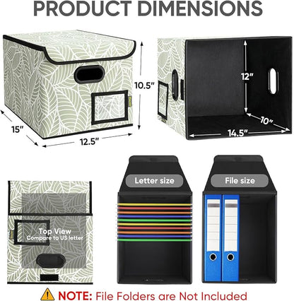 BALEINE File Organizer Box - Image 2