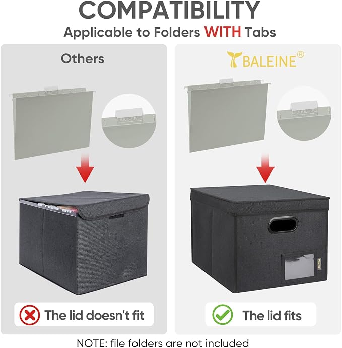 BALEINE File Organizer Box - Image 4
