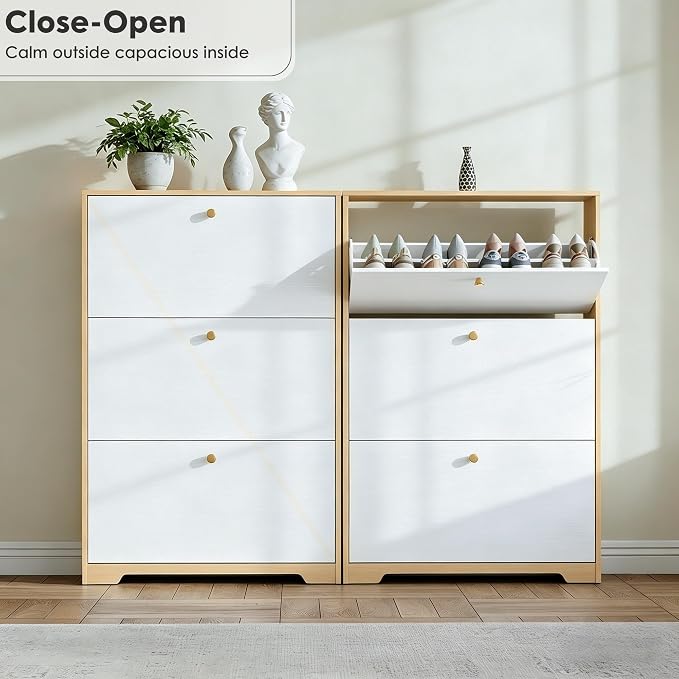 Nicetree Shoe Storage Cabinet - Image 6