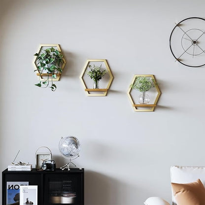 3 Pack Solid Wood & Heavy Duty Metal Wall Plant Stands, 25 LB Load Boho Arch - Image 2