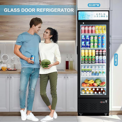 Commercial Glass Door Display Refrigerator 12 cu.ft Commercial Beverage - Image 8