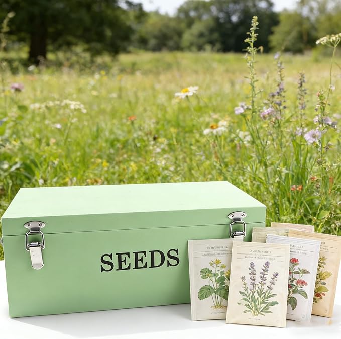 Seed Storage Organizer with 2 Dividers, Wooden Seed Saving Box with Lid - Image 3