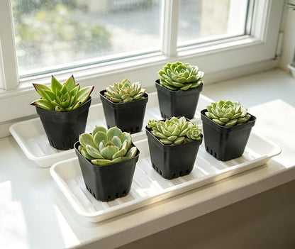 2 Pack Plastic Plant Tray Saucer Rectangular 20 21 Inch, Planter Trays Saucers - Image 3