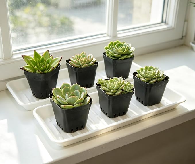 4 Pack Plastic Plant Tray Saucer Rectangular 17 18 Inch, Planter Trays Saucers - Image 3