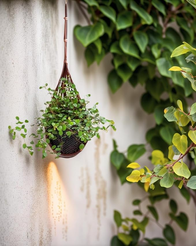 3 Pcs Hanging Orchid Planter: 4 Inch Handmade Bamboo Wall Plant Pot - Image 6