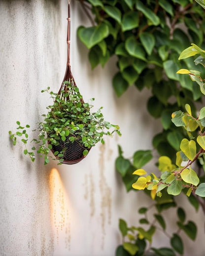 3 Pcs Hanging Orchid Planter: 4 Inch Handmade Bamboo Wall Plant Pot - Image 6