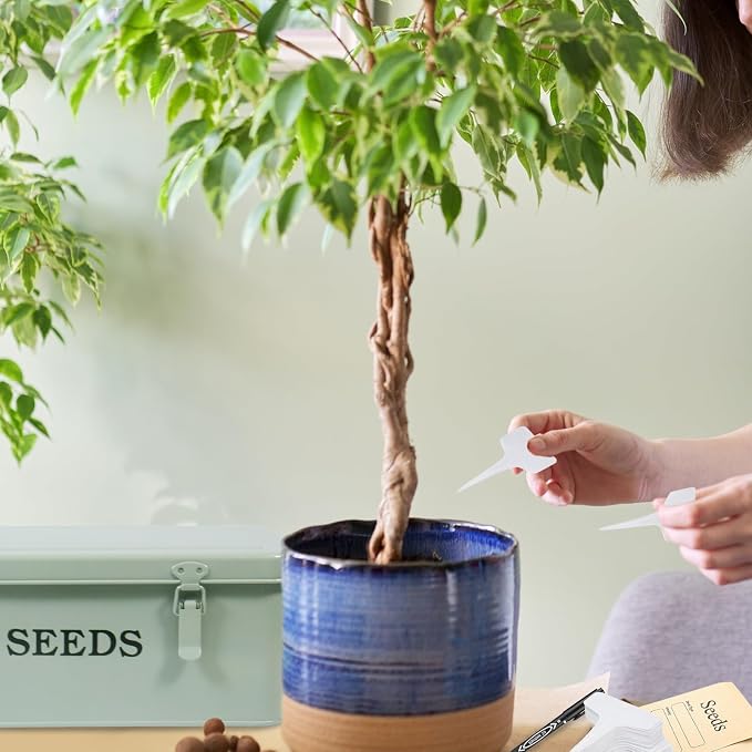 Seed Storage Organizer, 4 Compartment Seed Storage Box - Image 5