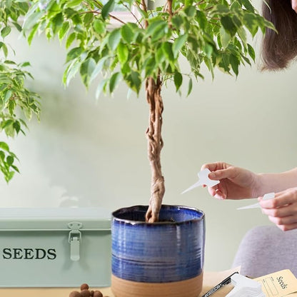 Seed Storage Organizer, 4 Compartment Seed Storage Box - Image 5