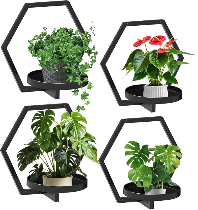 Garvee Hexagon 4 PCS Wall Shelf - 20Lb Load Capacity by Garvee