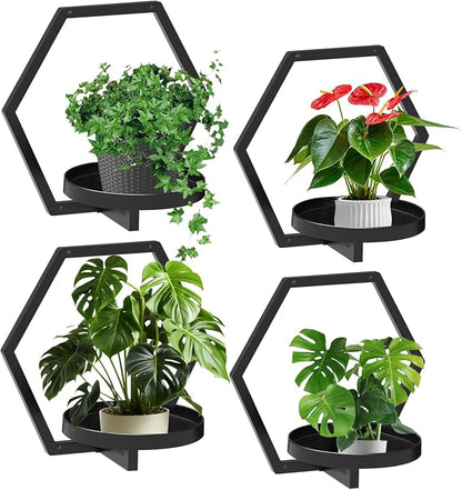 Garvee Hexagon 4 PCS Wall Shelf - 20Lb Load Capacity by Garvee