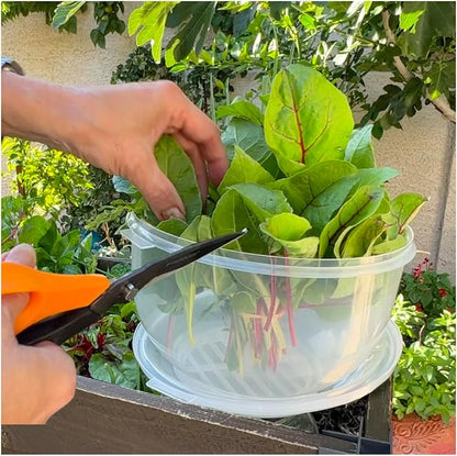 Trenton Gifts Lettuce And Vegatable Storage Keeper | 7" X 8" - Image 8