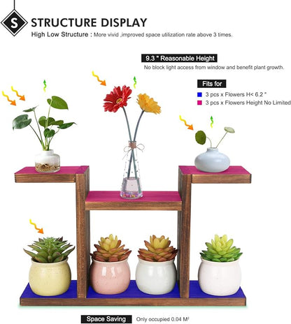 Wood Desktop Plant Stand Indoor - Image 3