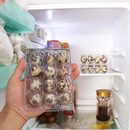 220 Pack Quail Egg Cartons, Holds up to 12 Quail Eggs Securely - Image 6