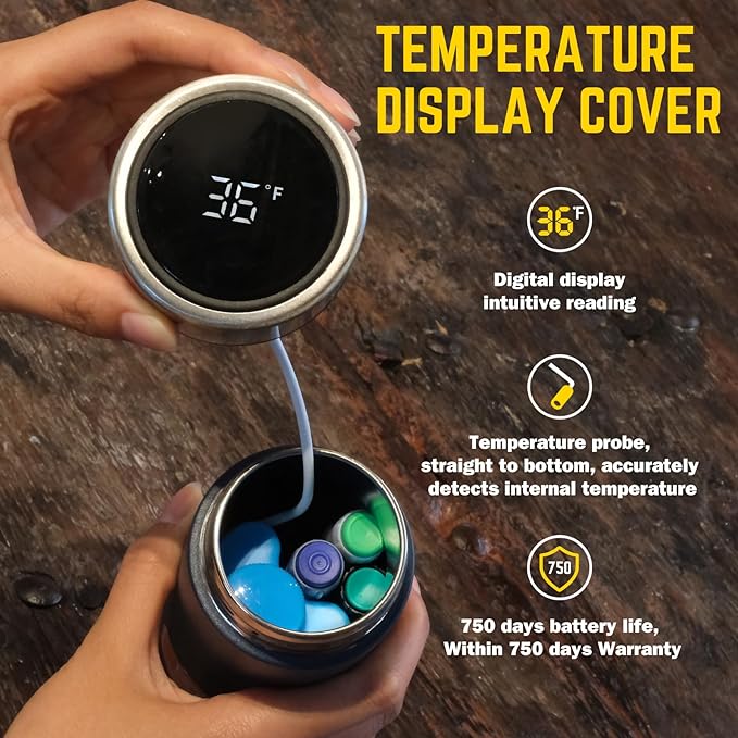 DISONCARE Odyssey 60H Insulin Cooler Travel case Digital Display Medication - Image 2